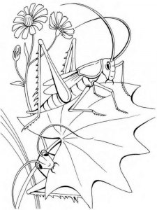 Grasshopper coloring page - picture 6