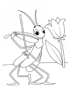 Grasshopper coloring page - picture 7