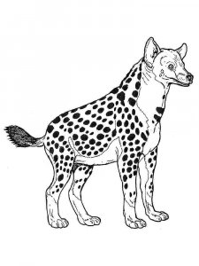 Hyena coloring page - picture 15