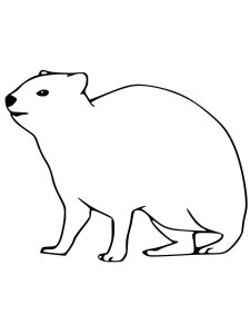 Hyrax coloring page - picture 1