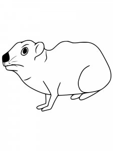 Hyrax coloring page - picture 6