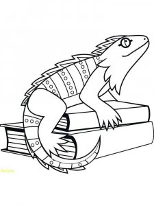Iguana coloring page - picture 7