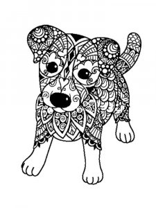 Jack Russell Terrier coloring page - picture 12