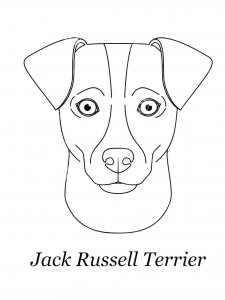 Jack Russell Terrier coloring page - picture 13