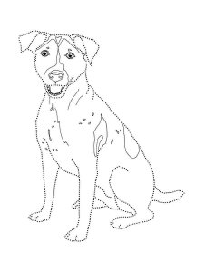 Jack Russell Terrier coloring page - picture 2