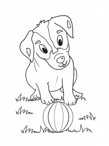 Jack Russell Terrier coloring page - picture 9