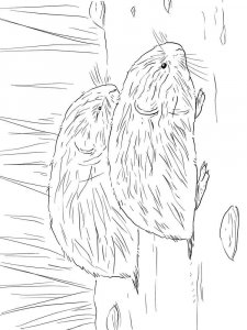 Lemming coloring page - picture 1