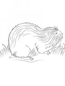 Lemming coloring page - picture 2
