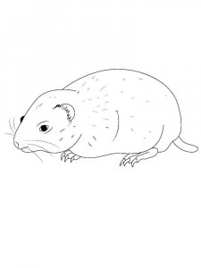 Lemming coloring page - picture 3