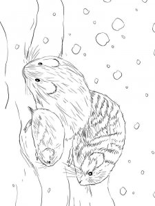 Lemming coloring page - picture 5