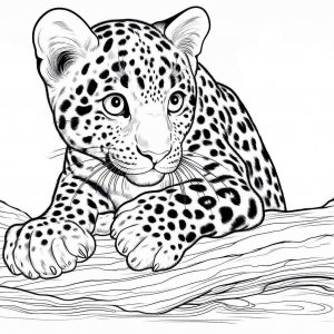 Leopard coloring page - picture 16