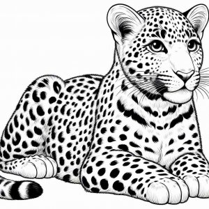 Leopard coloring page - picture 23