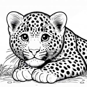 Leopard coloring page - picture 26