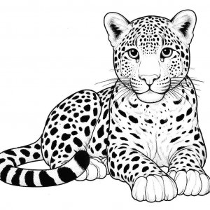 Leopard coloring page - picture 6