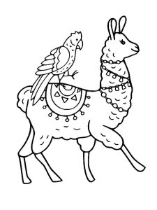 Llama coloring page - picture 23