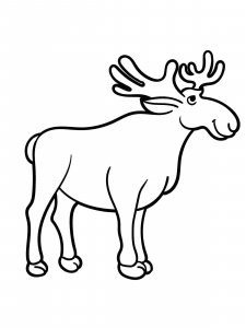 Moose coloring page - picture 1