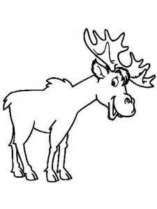 Moose coloring page - picture 17