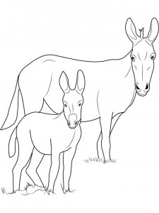 Mule coloring page - picture 1