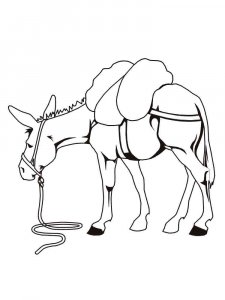 Mule coloring page - picture 2