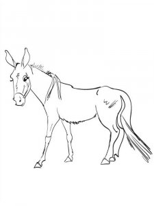 Mule coloring page - picture 7