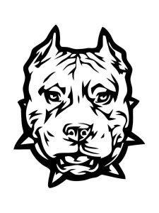 Pitbull coloring page - picture 13