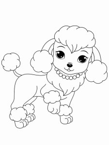 Poodle coloring page - picture 1
