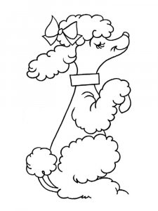 Poodle coloring page - picture 10