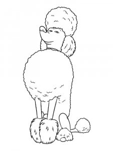 Poodle coloring page - picture 11