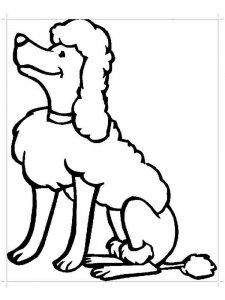 Poodle coloring page - picture 18