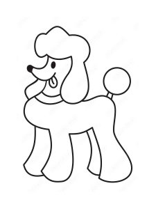 Poodle coloring page - picture 2