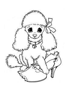 Poodle coloring page - picture 4