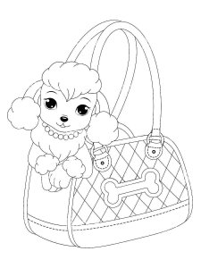 Poodle coloring page - picture 5