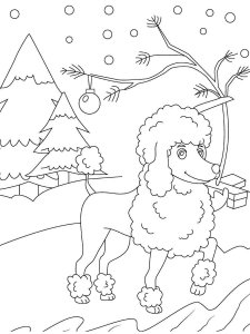 Poodle coloring page - picture 7