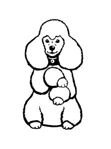Poodle coloring page - picture 9