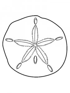 Sand Dollar coloring page - picture 10