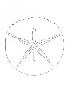 Sand Dollar coloring page - picture 2