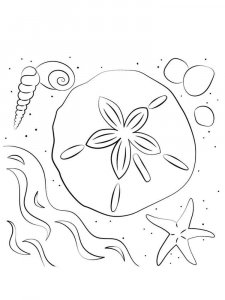 Sand Dollar coloring page - picture 6