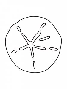 Sand Dollar coloring page - picture 7