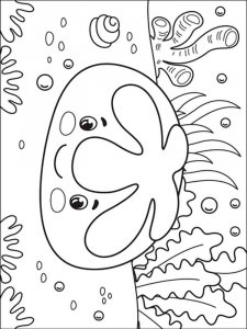 Sand Dollar coloring page - picture 8