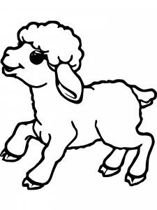Sheep coloring page - picture 15