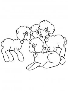 Sheep coloring page - picture 23