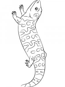 Skink coloring page - picture 3