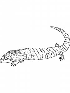 Skink coloring page - picture 6