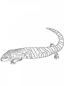 Skink coloring page - picture 9