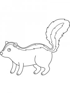 Skunk coloring page - picture 17