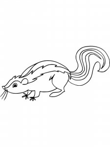 Skunk coloring page - picture 2
