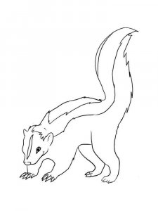 Skunk coloring page - picture 20