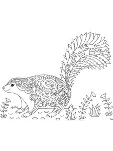 Skunk coloring page - picture 21