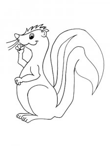 Skunk coloring page - picture 23