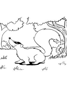 Skunk coloring page - picture 24